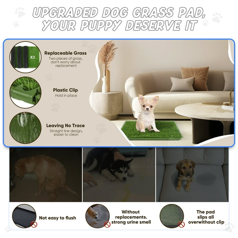 Puppy Pads How To Train Your Dog To Go Potty Outside Toilet