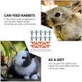 thumbnail image 5 of Raindrops 20 pcs Automatic Rabbit Drinking Feeder Spring Design Rabbit Water Feeding, 5 of 8