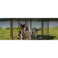 thumbnail image 3 of Pet Gazebo Dog Kennel Vented Replacement Cover, Earth Taupe, 8-ft, 3 of 3