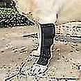 thumbnail image 2 of 2 uds protector de tobillo para perro B 1 P mascota perro muñeca B perro rodilla B B B protección para mascotas Ar, 2 of 4