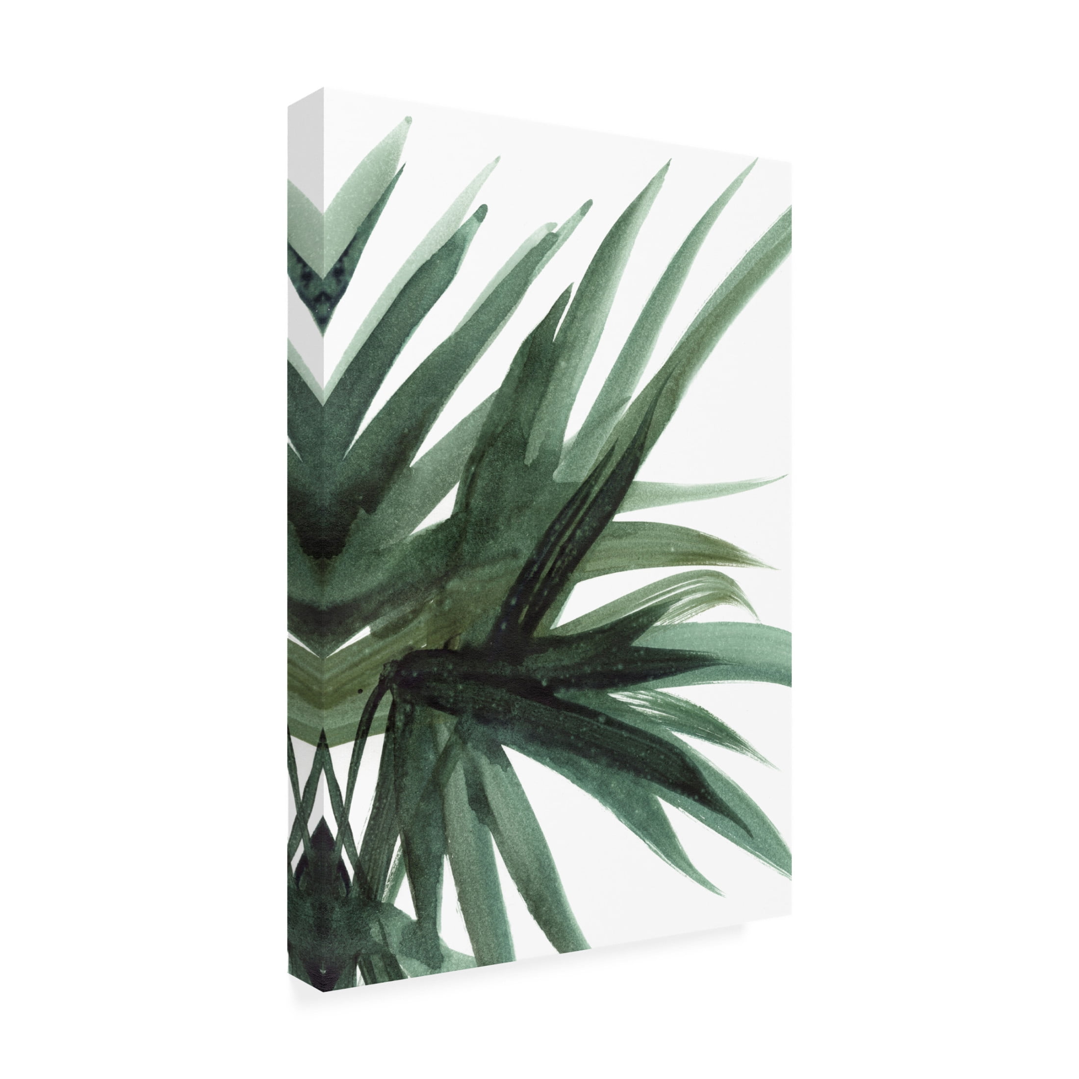 Trademark Fine Art Dan Hobday Lush Canvas Wall Art