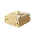 thumbnail image 2 of 39.37"x59.06"Warm Fluffy Blanket Fuzzy Soft Blanket, Fall Throw Blankets Soft Cozy Blankets, Winter Throw Blankets Soft Cozy Blanket, 2 of 6
