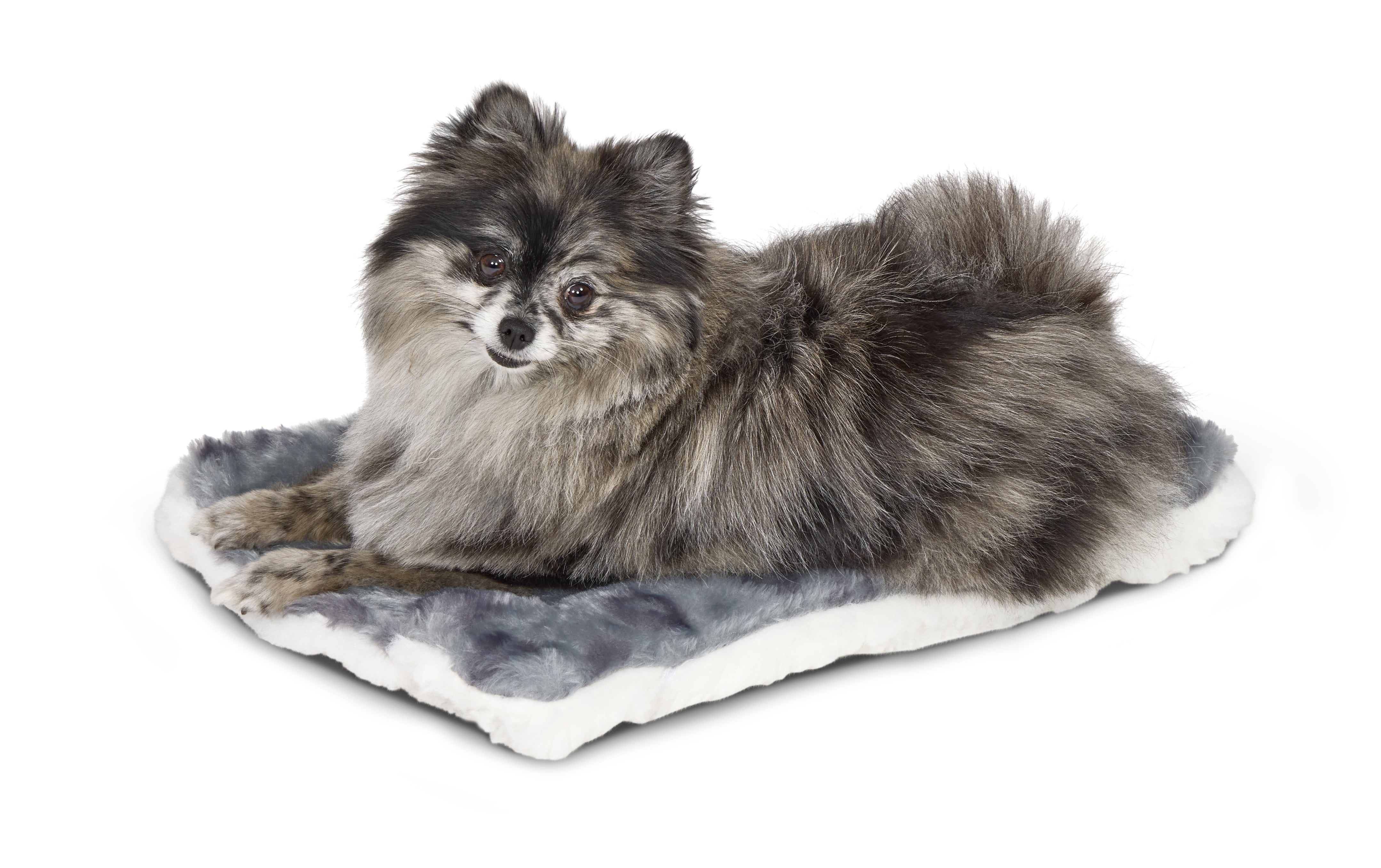 MidWest Homes for Pets 18inch Reversible Pet Bed; Great for Toy Dog Breeds; Spotted Gray