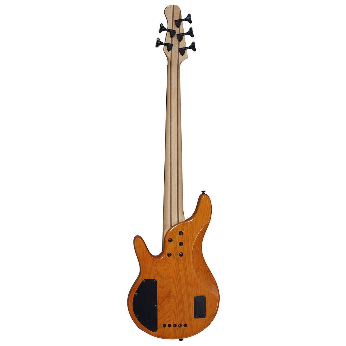 Michael Kelly Pinnacle 5 5-String Bass Guitar