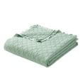 thumbnail image 4 of My Texas House Penelope Iceberg Green Adult 3-Piece Quilt Set, Full/Queen, 4 of 7