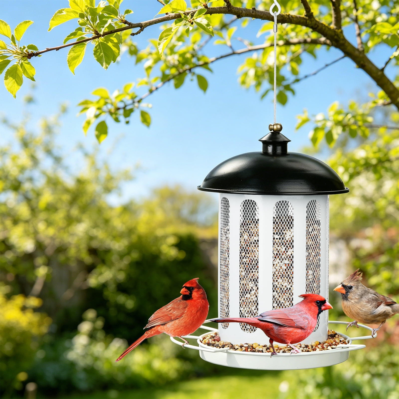 Samhe Bird Feeder, Bird Feeders for Outdoor Hanging, Heavy Duty Metal Wild Birdfeeder 4 lbs Large Capacity, White