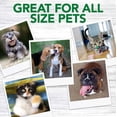 thumbnail image 5 of El mejor cepillo de dientes para perros del veterinario | Fácil limpieza dental para el cuidado dental de perros, perfecta para perros y gatos | Viene con 10 cepillos suaves para dedos por paquete., 5 of 5