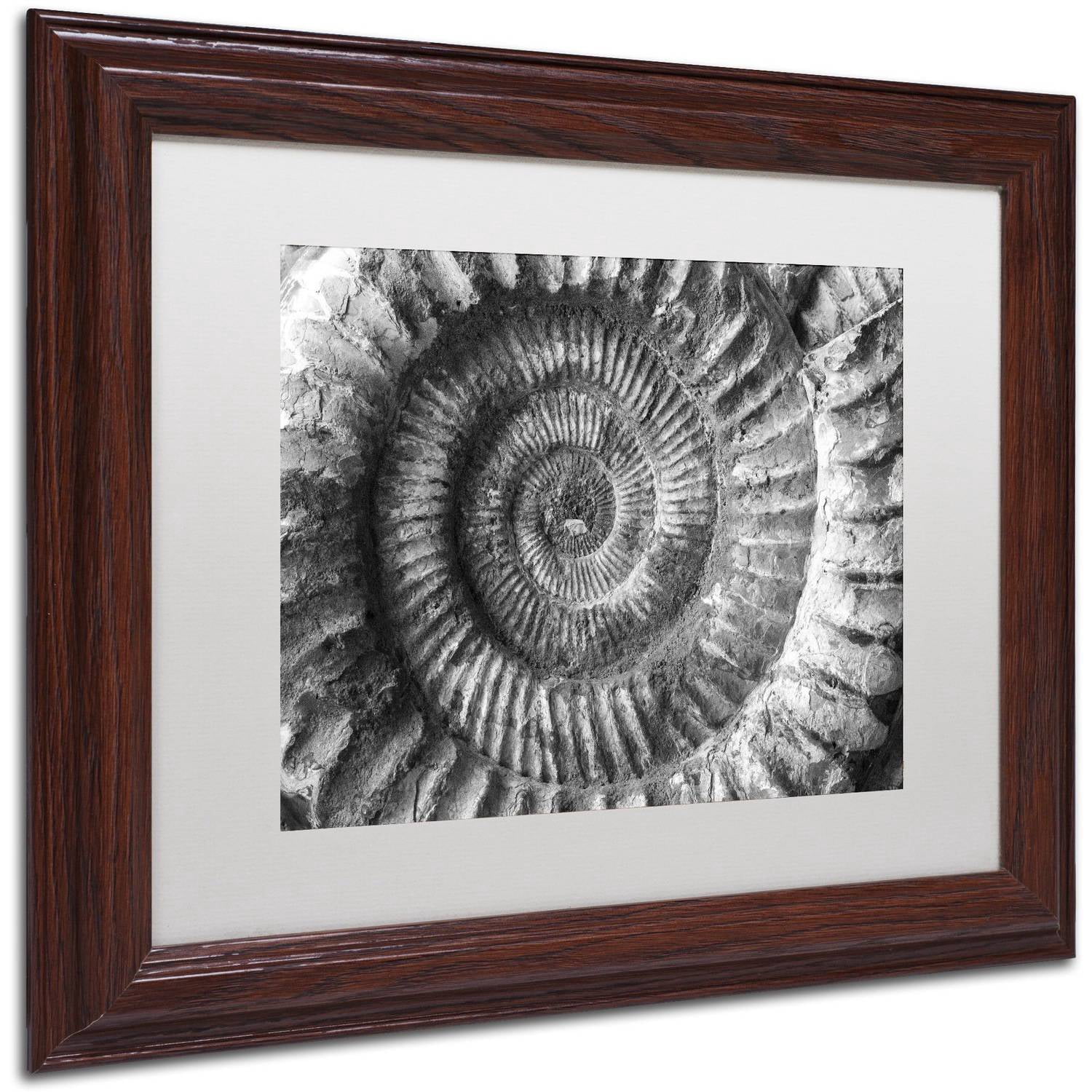 Trademark Fine Art "Amonita 2" Canvas Art by Moises Levy White Matte, Wood Frame