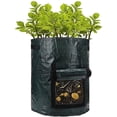 thumbnail image 1 of Vegetable Planting Bag PE Environmentally Friendly Breathable Plant Grow Pouch Garden Planting Bag Gardening Tool, 1 of 3