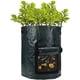 thumbnail image 1 of Bolsa de Plantació de Bolsas PE de planta respirable para el medio ambiente., 1 of 3