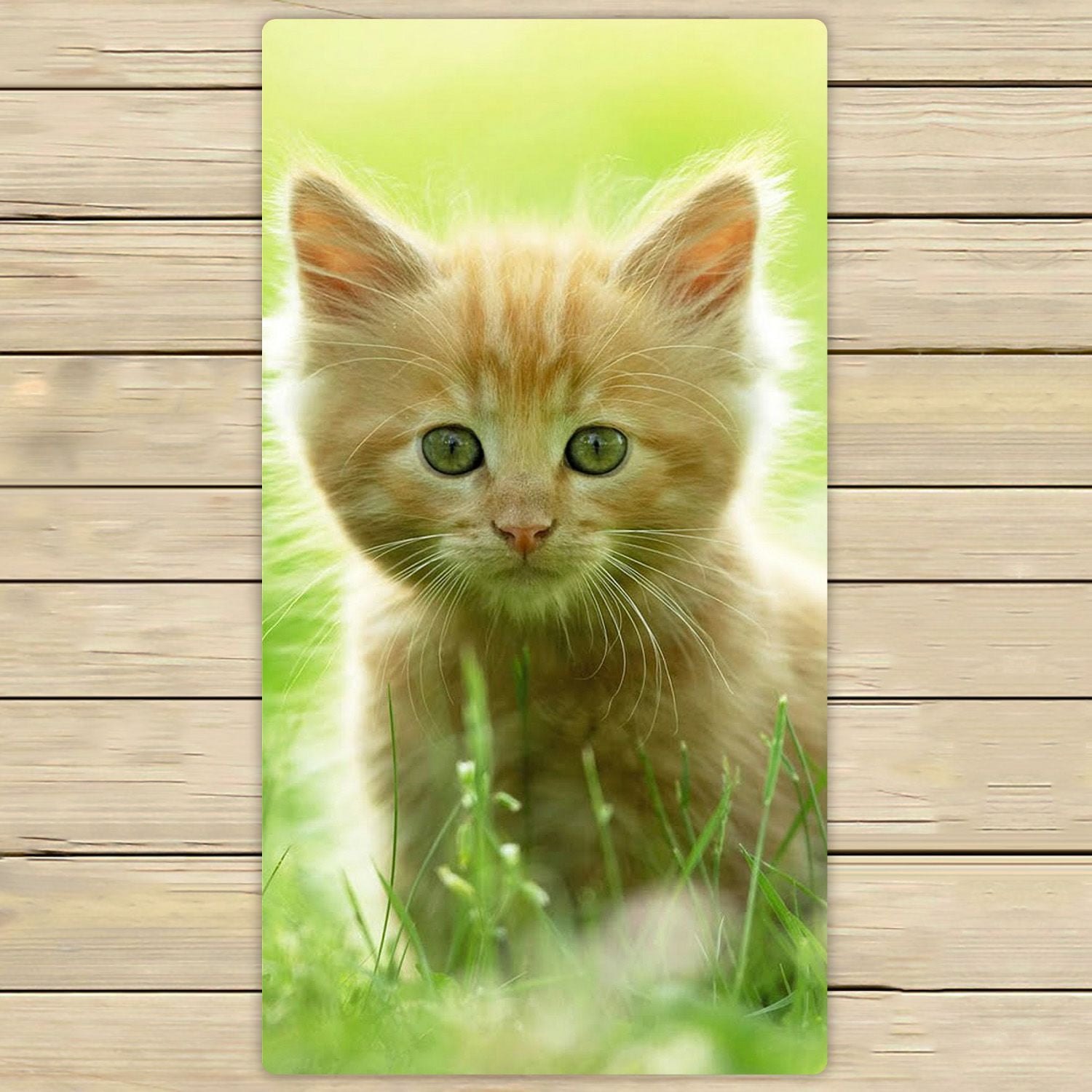 ZKGK Animals Kitten Cat Hand Towel Bath Towels Beach Towel For Home