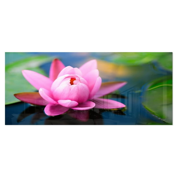 Design Art Large Lotus Flower In The Pond Fl Glossy