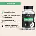 thumbnail image 2 of Quercetina Vit & Skn Nutrition Company 60 Cápsulas, 2 of 4