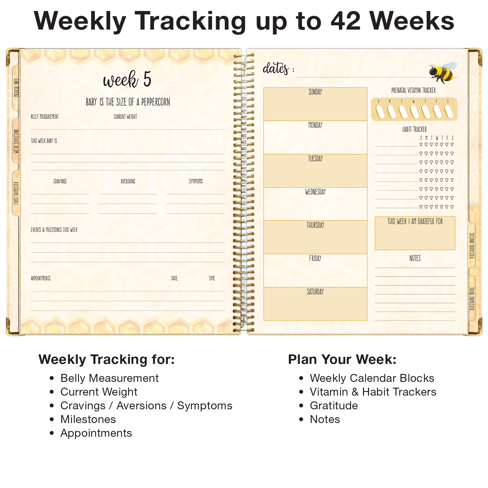 Global Printed Products Pregnancy Tracking Journal, 8.5" x 11"