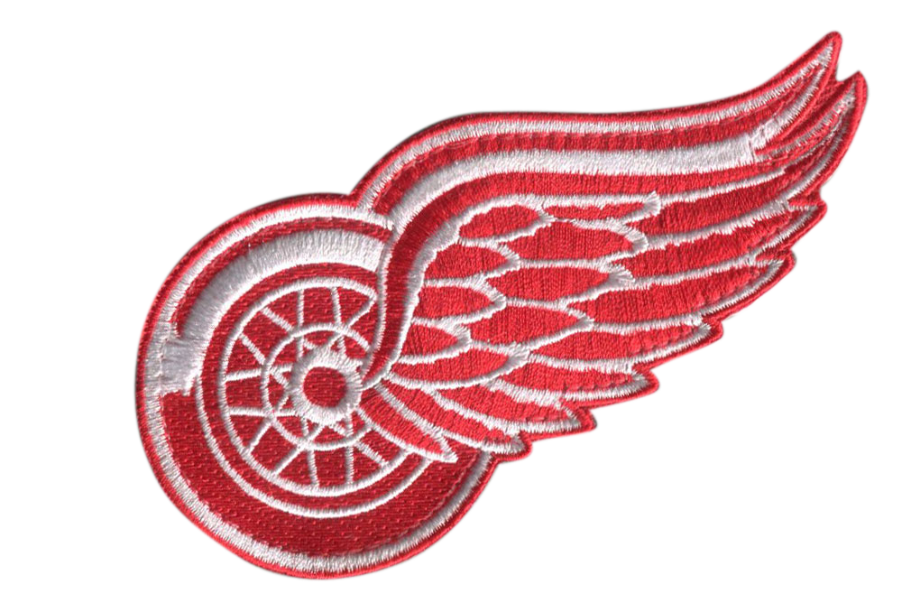 HUGE Carolina Hurricanes Iron-On Patch - 6 X 9 Inches
