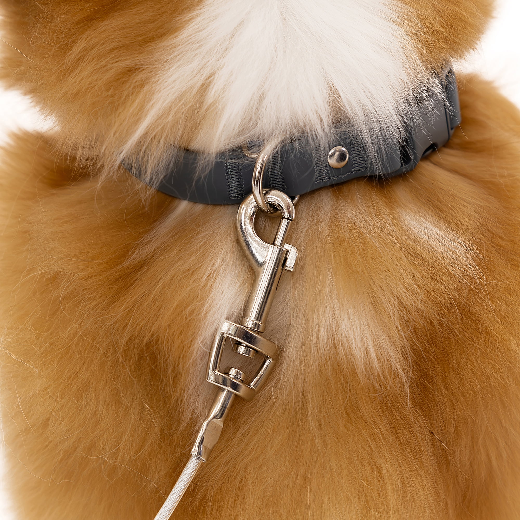 Carlson Pet Products Medium Dog Tie-Out Cable, 20 ft, for Breeds up to 100 lbs