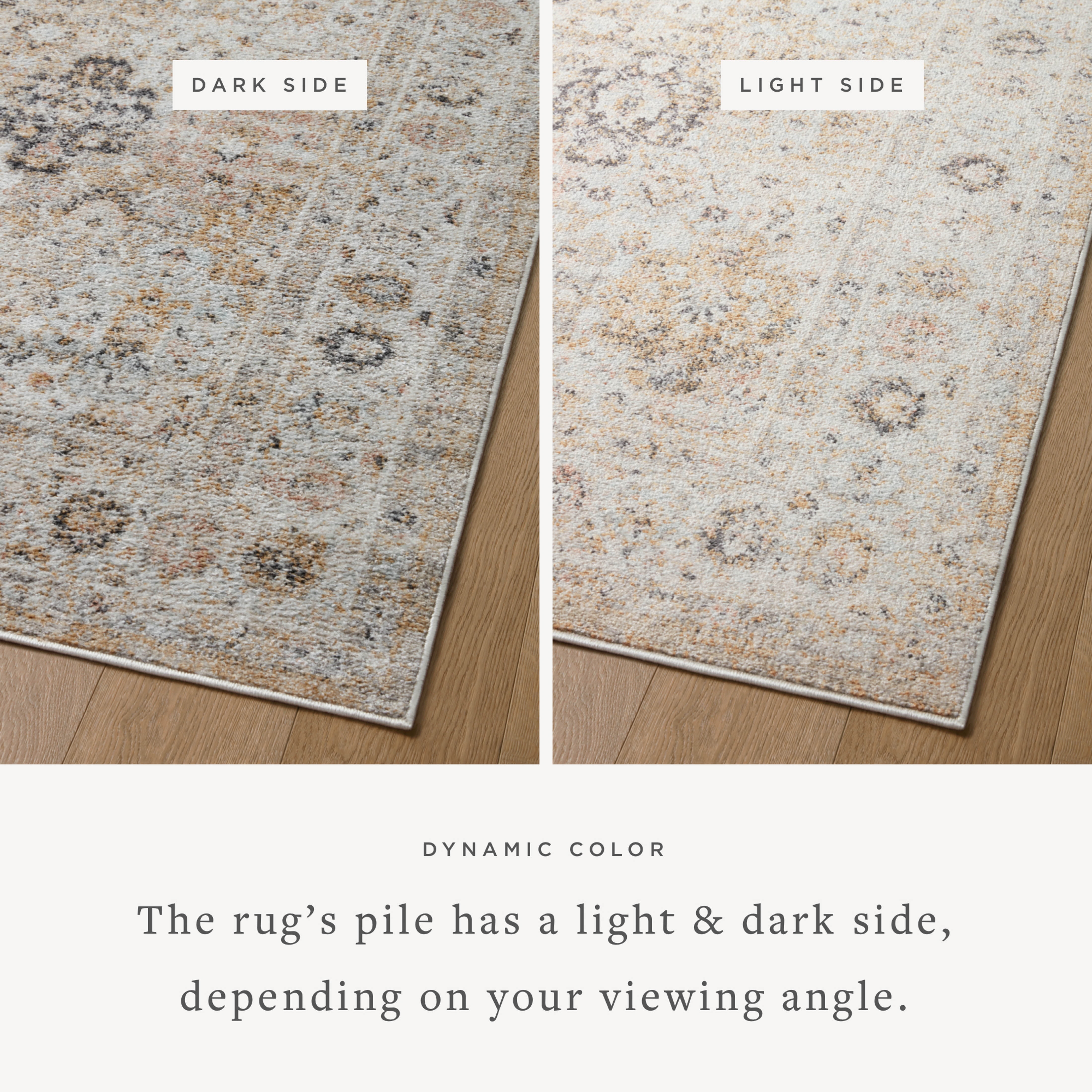 Loloi Monroe Beige / Multi 18" x 18" Sample Rug