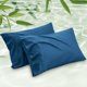 thumbnail image 1 of Juego de fundas de almohada Bedsure, tamaño king, rayón, bambú, azul turquesa, 1 of 7
