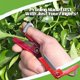 thumbnail image 4 of 1pc Multi-Functional Thumb Knife, Picking Finger Knife, Gardening Small Guillotine Knife, Picking Tea Playing Check To Remove Leaves Thumb Knife Used For Farm Garden Orchard Pinch Beard Hand Tools, 4 of 4
