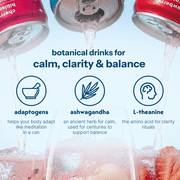 Moment Adaptogen Drink Spiced Mango Still, 11.5 Oz, 12 Pack Cans