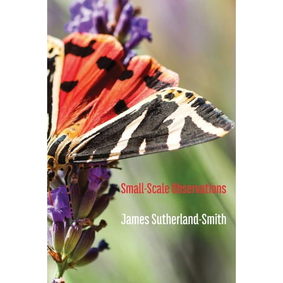 Small-Scale Observations, (Paperback)