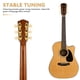 thumbnail image 3 of PTOOTP 2Ud De Afinación Para Guitarra Con Cabezas Semicirculares Doradas Para Ajuste Estable Y Preciso, 3 of 6