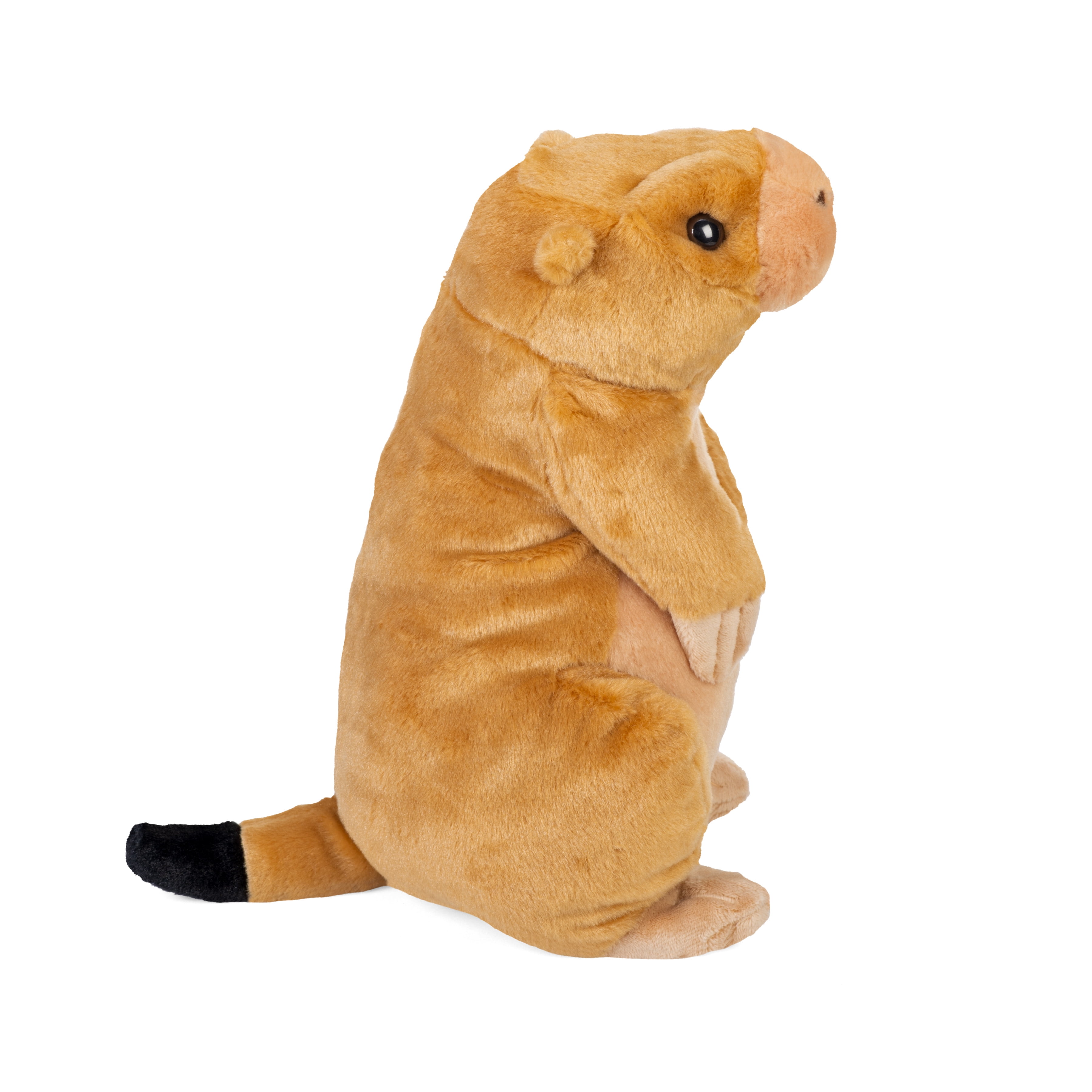 Wild Republic Prairie Dog Plush, Stuffed Animal, Plush Toy, Gifts for Kids, Cuddlekins 12 Inches