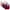 Wine, variant on LLYWEY Camisole Bras for Women Discounts Sports Bras Women High Impact Ladies One Shoulder Bra Style-1270 Women Seamless Bra Feature Adult Female Push up Sports Bras Pinks 36B