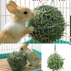 Stainless Steel Round Pet Toy Supply Sphere Feed Dispenser Exercise Hanging Hay Ball Guinea Pig Hamster Rabbit Pet Toy