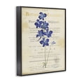 thumbnail image 2 of Stupell Industries Shabby Chic Natural Botanic Garden Flower Black Framed Giclee Art, 24 x 30, by Susan Arnot, 2 of 8