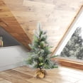 thumbnail image 3 of Vickerman 36" Frosted Myers Pine Artificial Christmas Tree, Unlit, 3 of 3