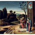 thumbnail image 2 of Birth of Jesus from the Pala Pesaro Giovanni Bellini c 1430-1516/Italian Tempera on Board Civic Museum Pesaro 18 x 24, 2 of 4