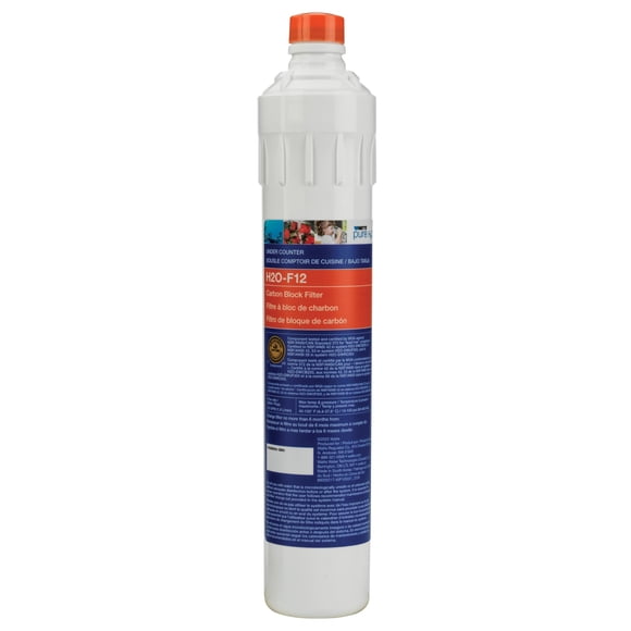Watts Filtre de Remplacement en Bloc de Carbone H2O Pur pour sous Évier
