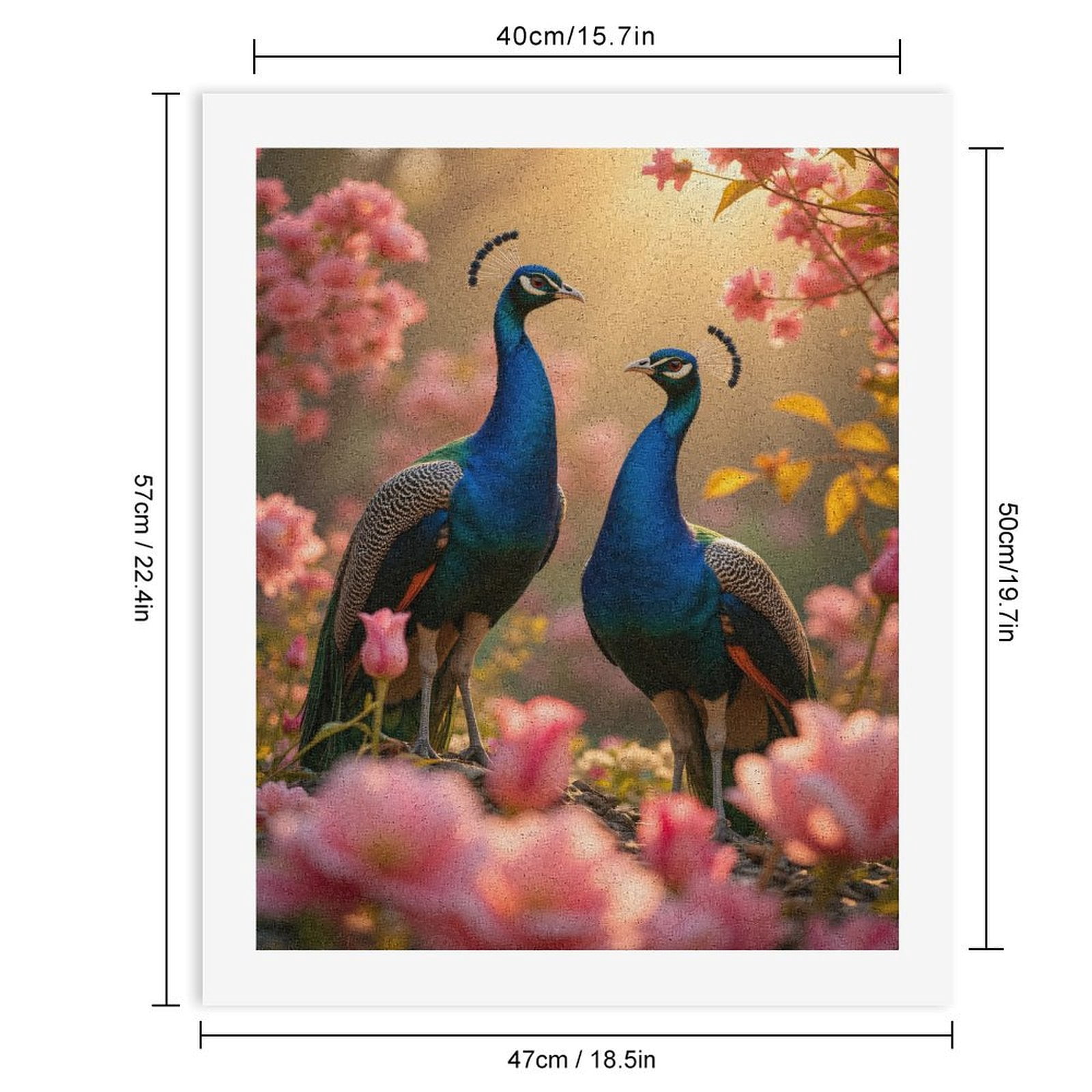 Paint By Numbers Kit for Adults Beginner - DIY Peacocks Blossom Sunrise Scene Canvas Painting Kits for Adults, Frameless Paint By Number for Adults for Home Wall Decor 16x20 Inch