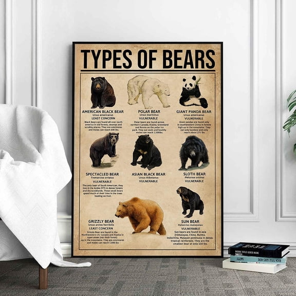 DIANANA Types Of Bears Poster: Educational Wall Art
