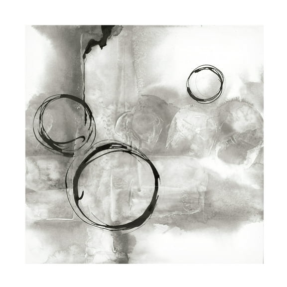 Trademark Fine Art 'Full Circle I Gray' Canvas Art by Chris Paschke