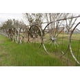 thumbnail image 2 of Highmith, Carol 24x17 Black Ornate Wood Framed with Double Matting Museum Art Print Titled - A fence made of wagon wheels near Schulenburg in Fayette County, TX, 2 of 4