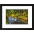 thumbnail image 2 of North Fork Silver Creek, Silver Falls State Park, Oregon, USA, Scenic Seasons World Culture Framed Art Print Wall Art by Jamie  Judy Wild Sold by Art.Com, 2 of 6