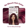 thumbnail image 6 of Paradyes Ruby Rush No Bleach Glossy Hair Tint, 6 of 9