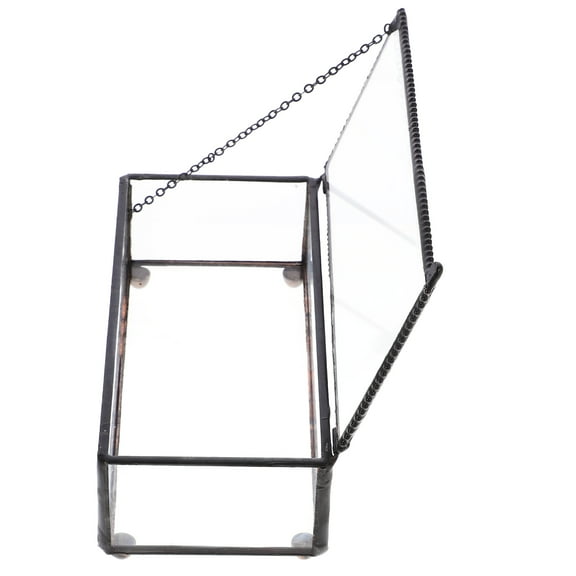 WHAMVOX Clear Jewelry Keepsake Box Simple Storage Organizer Rings Earrings Display Treasure Chest Organizer