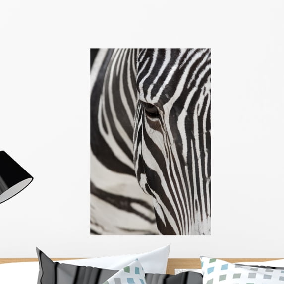 Grevy's Zebra 2560 Crop Wall Mural by Wallmonkeys Peel and Stick Graphic (24 in H x 15 in W) WM241854