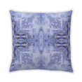 thumbnail image 1 of Ahgly Company Indoor Square Contemporary Throw Pillow, 18 inch by 18 inch, 1 of 5