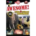 thumbnail image 2 of Spectrum® Readers: Awesome! Reader, Ages 3 - 6 (Paperback), 2 of 2