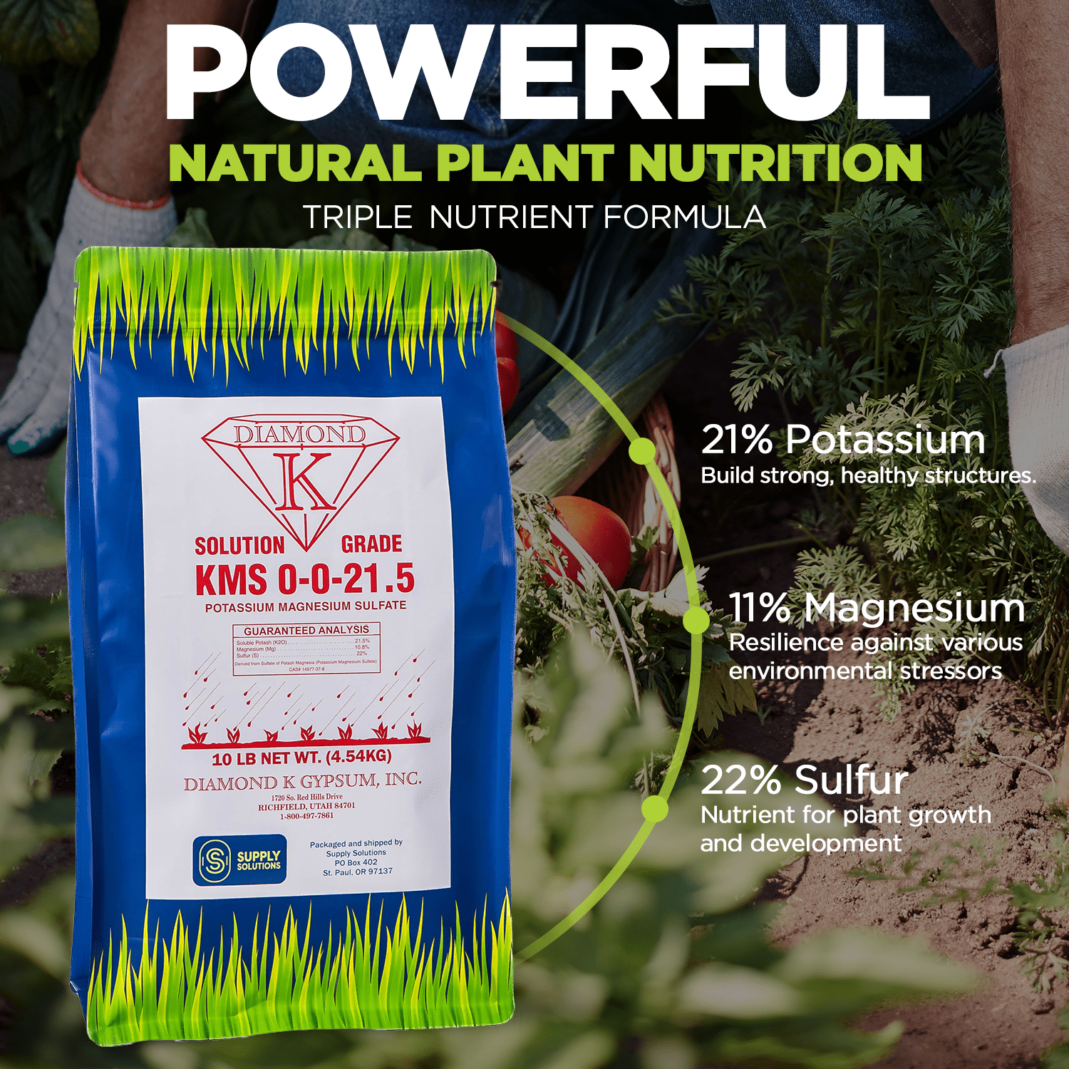 KMS 0-0-21.5 (Potassium Magnesium Sulfate) Fertilizer - Plant Food - The Best for Low Magnesium Soils Prone to Nutrient Loss - Ideal for Lawns, Garden, Vegetable, and Fruit Crops (10 Pounds)
