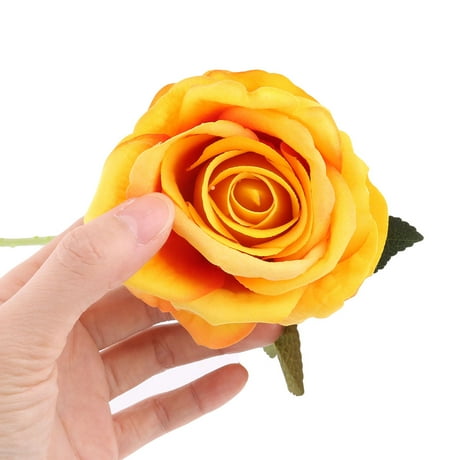 Rose Colour Decor Canada Rose Colour Decor Canada