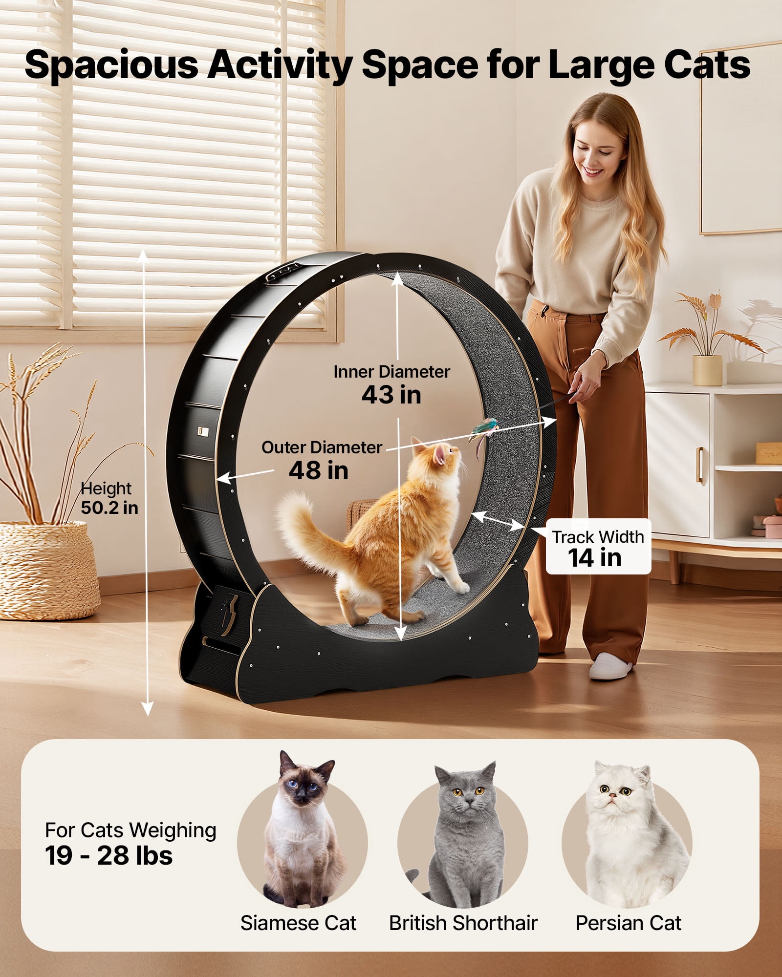 VEVOR Cat Exercise Wheel, 48 in Wooden Cat Running Wheel for Indoor Cats up to 28 lbs, Cats Treadmill with Carpeted Runway & Locking Mechanism, Quiet Kitten Sport Toys for Pets Fitness & Health