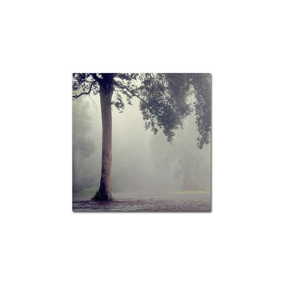 Trademark Fine Art "Winter Romance" Canvas Art by Beata Czyzowska Young