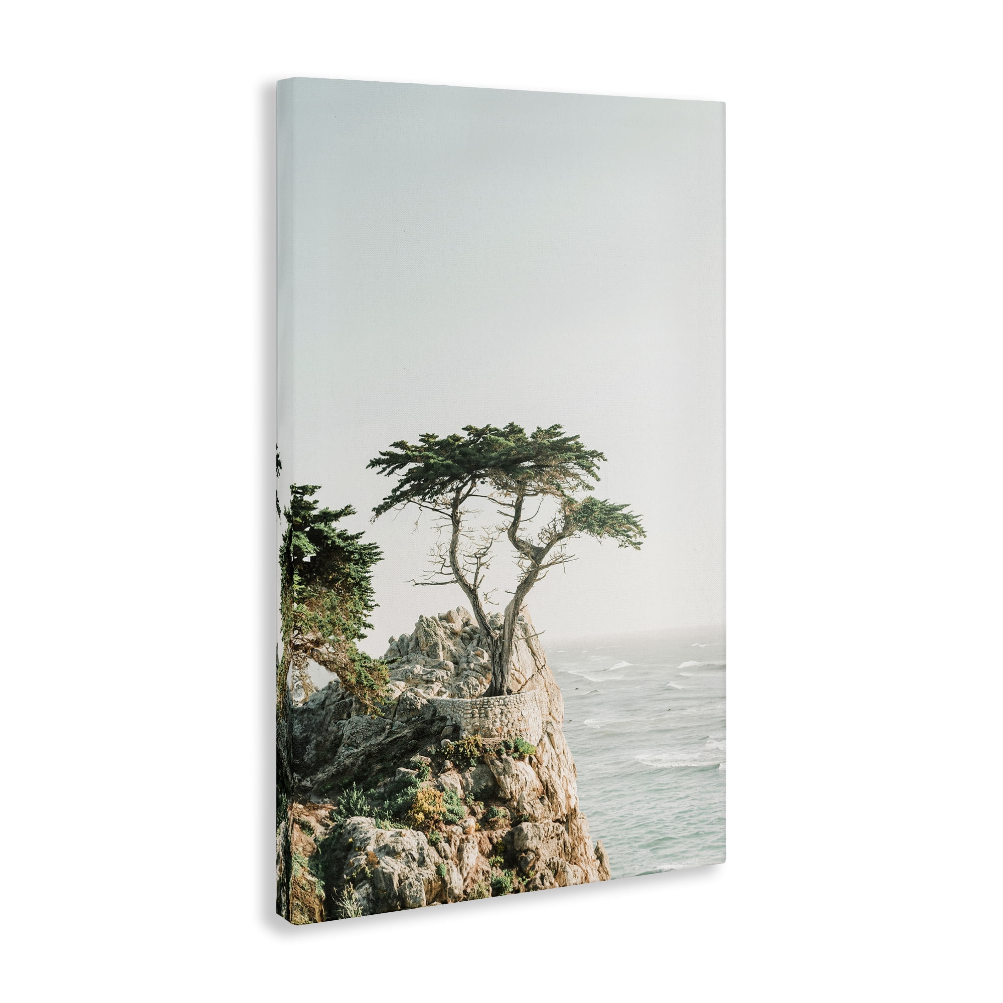 Stupell Industries Tree on Beachside Cliff Nautical & Beach Photography Wrapped Canvas Art Print Wall Art, 16 x 24