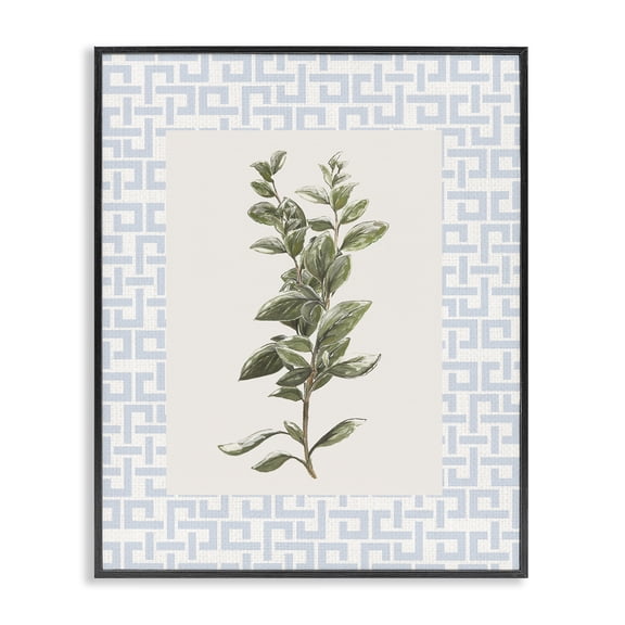 Stupell Industries Fresh Herb on Geometric Black Framed Giclee Art, design by Diannart