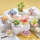 thumbnail image 5 of Adornos de plantas suculentas en macetas, bloques de construcción para niños, flores en macetas, arreglos florales de partículas pequeñas para bricolaje, flores secas, 5 of 5